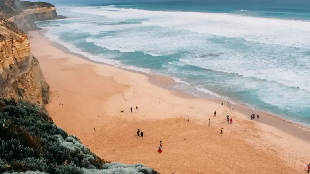 Picture of Coast line view from a cliff