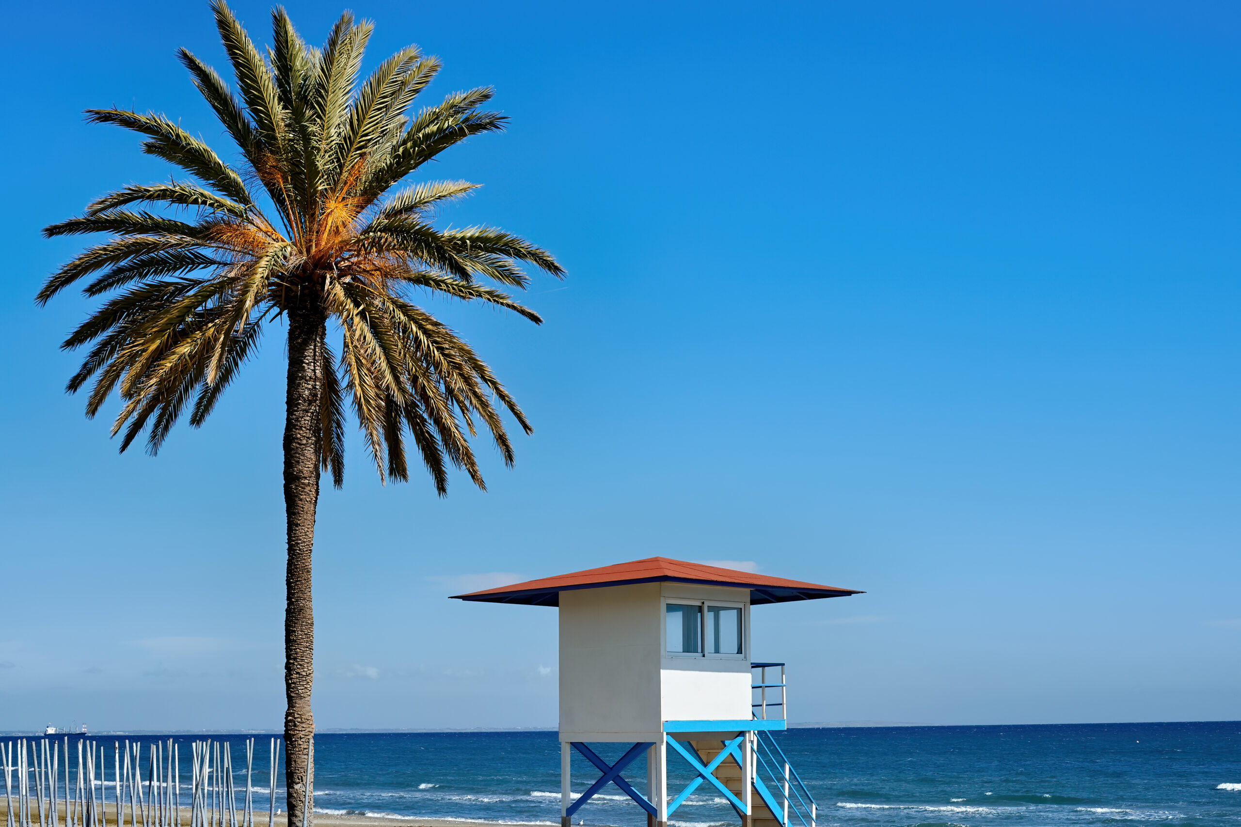 Enjoy Oceanview Daytona Beach Rentals