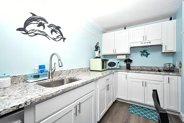 230-Kitchen Dolphin Cay Cedar Key - Ocean View Vacation Rentals Living Room