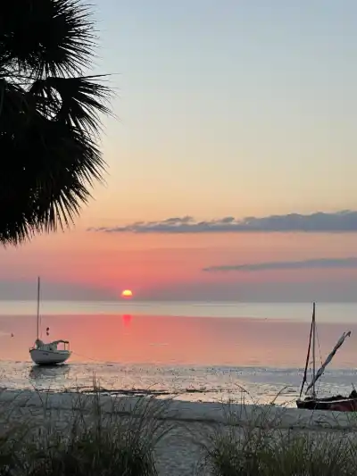 Sunset over a calm sea with a small sailboat on the water and a palm tree silhouette in the foreground at the beach.